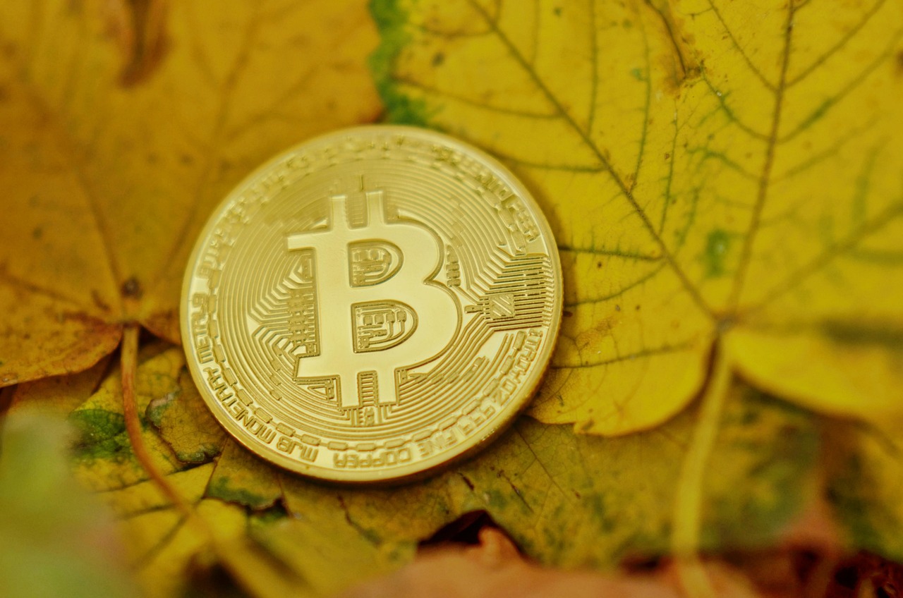公链Solayer推出USDC结算的金融卡！刷卡有机会获得代币Layer